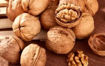 گردو میان‌وعده‌ای کوچک با نتایج بزرگ برای سلامتی قلب