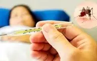 آمار مبتلایان به تب دنگی در این استان جنوبی به ۲۲۵ نفر رسید