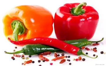 ممنوعیت ها برای خوردن فلفل