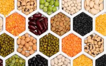 بهترین و بدترین منابع پروتئینی برای مبتلایان به دیابت