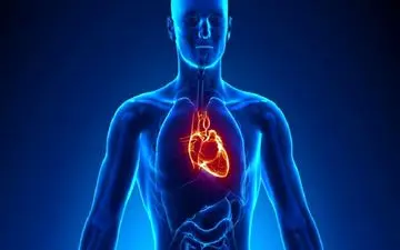 ۵ راز عجیب درباره بدن انسان