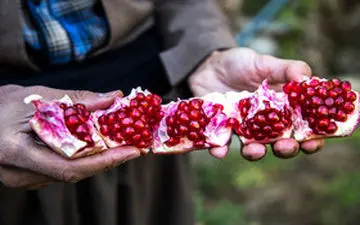 آغاز جشن "انار" اورامانات کرمانشاه در کاخ نیاوران تهران