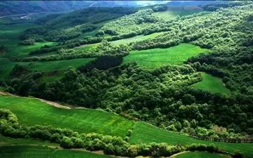 احیاء ۳۵۰۰هکتار از مراتع استان کرمانشاه