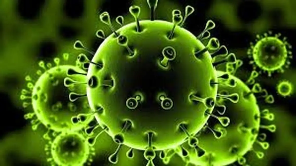 ۷۲ مورد جدید مبتلا به کرونا ویروس طی ۲۴ ساعت