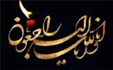  سرمربی تیم‌ملی کشتی آزاد عزادار شد