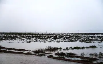  خسارت سیل به بخش کشاورزی به ۶۷۰۰ میلیارد تومان افزایش یافت