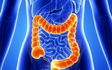میکروب و عفونت بدن در کدام عضو بدن بیشتر است؟