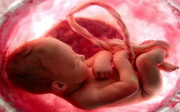 دستگیری قاتل جنین های زنان جوان 