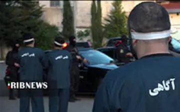  شما جوجه ها در فضای مجازی برای هم عربده می‌کشید!