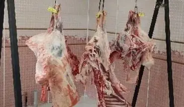 عرضه گوشت گرم گوسفندی به قیمت ۲۷۰ هزار تومان در محل نمایشگاه بین‌المللی کرمانشاه
