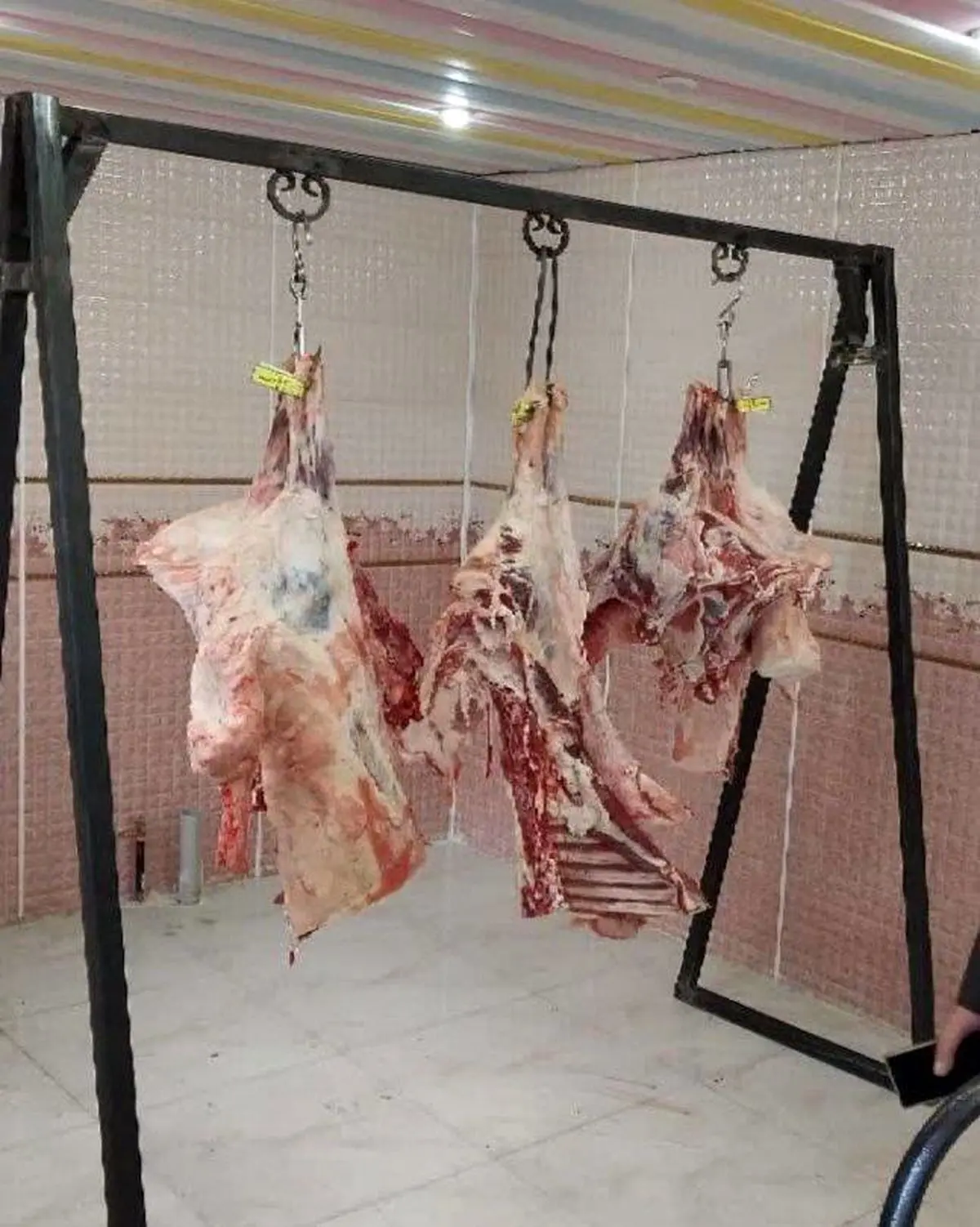 عرضه گوشت گرم گوسفندی به قیمت ۲۷۰ هزار تومان در محل نمایشگاه بین‌المللی کرمانشاه
