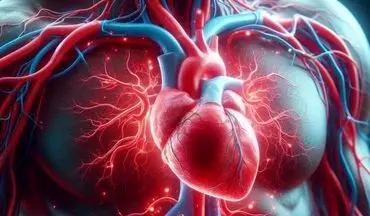 نکات کلیدی برای پیشگیری از مشکلات قلبی در زندگی روزمره