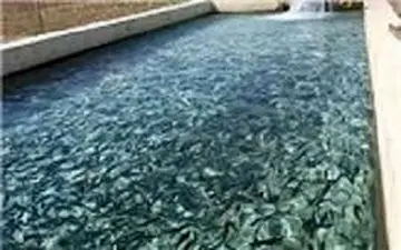  دستور"جهانگیری" به سه نهاد دولتی درباره دامداران زلزله‌زده "کرمانشاه"