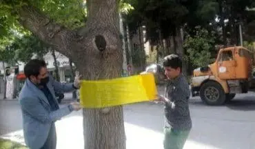 
 برای اولین بار در شهر کرمانشاه تله رنگی جایگزینی برای سموم شیمیایی در کنترل آفات