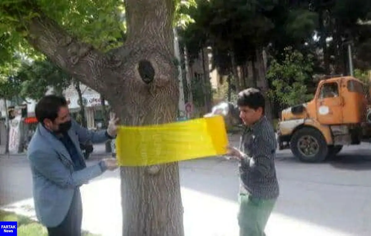 
 برای اولین بار در شهر کرمانشاه تله رنگی جایگزینی برای سموم شیمیایی در کنترل آفات