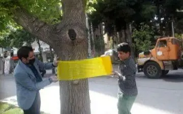 
 برای اولین بار در شهر کرمانشاه تله رنگی جایگزینی برای سموم شیمیایی در کنترل آفات
