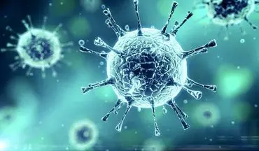 ۷ مورد جدید مبتلا به کرونا ویروس /  ۲ مورد فوتی