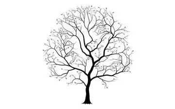 تست بینایی؛ چند حیوان روی درخت پنهان شده؟
