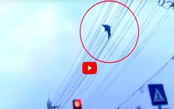 راه رفتن جوان مست روی سیم دکل برق! +فیلم 