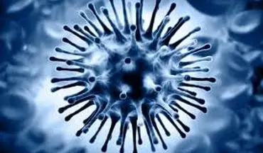 راه‌های جلوگیری از انتشار ویروس آنفلوآنزا