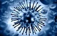 راه‌های جلوگیری از انتشار ویروس آنفلوآنزا