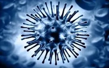 راه‌های جلوگیری از انتشار ویروس آنفلوآنزا