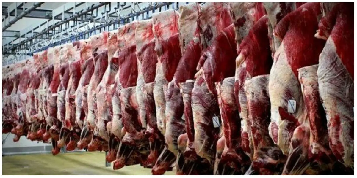 
چرا گوشت در روزهای اخیر گران شد؟

