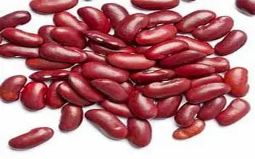 آیا لوبیا باعث کاهش وزن می شود؟