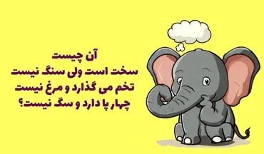 سخت است ولی سنگ نیست تخم می‌گذارد ولی مرغ نیست چهار پا دارد ولی سگ نیست؟