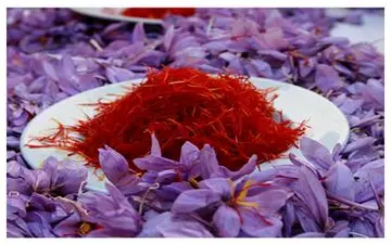 
قیمت زعفران در ایام محرم چه تغییراتی می‌کند؟/ گرانی در راه است؟
