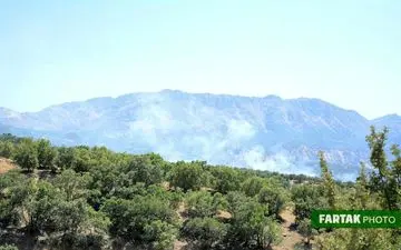 تصاویر آتش سوزی درخت های بلوط( جنگلهای ) دالاهو 