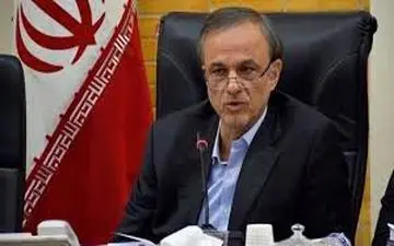 رزم‌حسینی:به اندازه کافی نهاده‌ در اختیار شبکه توزیع قرار گرفته است
