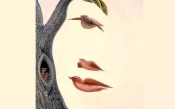 تست شخصیت شناسی؛ در نگاه اول چه می‌بینید؟