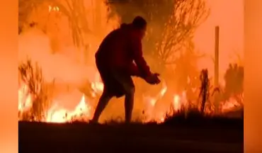 نجات یک خرگوش از میان شعله‌های آتش + فیلم
