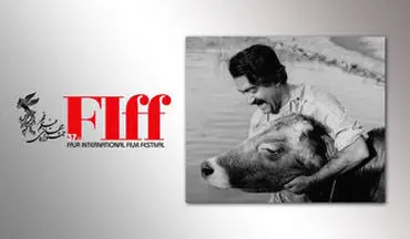  پخش پشت‌صحنه و تست بازیگری «گاو» در جشنواره جهانی فجر