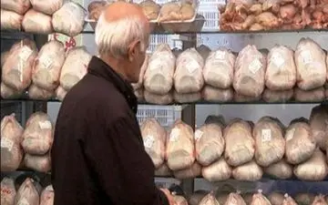 توزیع 23 تن مرغ تنظیم بازار در دماوند