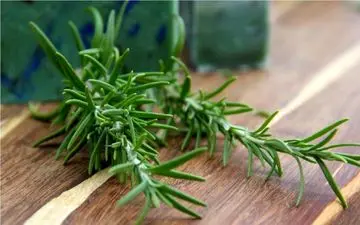 این سبزی معطر ضد سرطان است