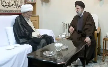 رئیس جمهور با آیت الله صافی گلپایگانی دیدار کرد