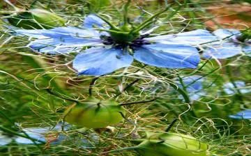 دارویی موثر در برابر هر بیماری