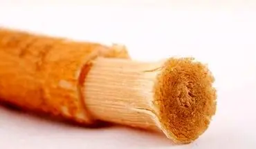 استفاده از چوب مسواک ضرر دارد؟