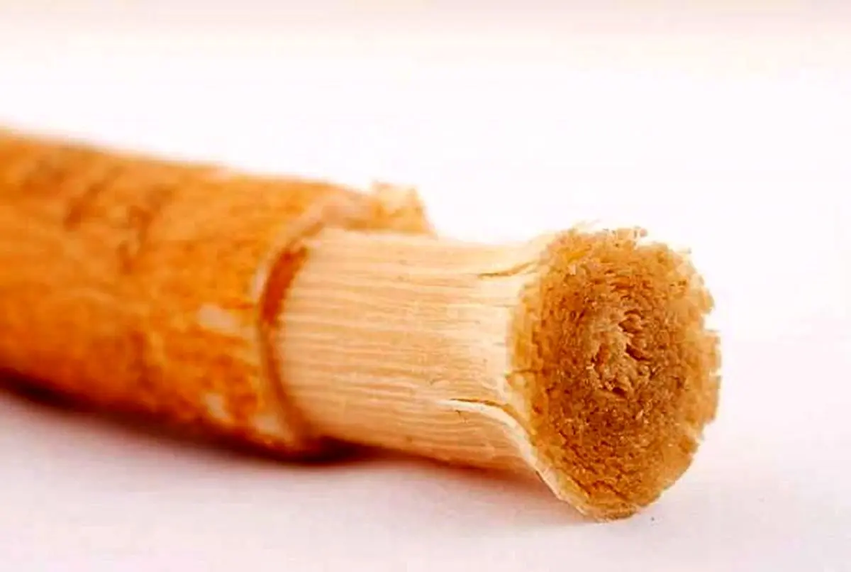 استفاده از چوب مسواک ضرر دارد؟