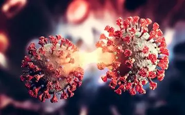 ۳ ویژگی مهم ویروس اُمیکرون 