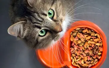 مرگ عجیب جنین 9 ماهه+جزئیات