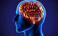 عادت مخربی که مغز را به پیری زودرس مبتلا میکند!