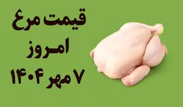 قیمت مرغ امروز ۷ مهر ۱۴۰۴ | نرخ روز انواع مرغ در بازار