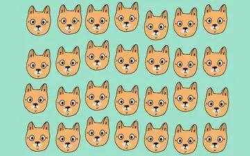 5 ثانیه وقت داری گربه کوچولوی متفاوت را پیدا کنی + جواب