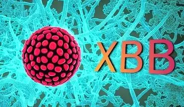 
از XBB و BQ.1 چه می‌دانید؟