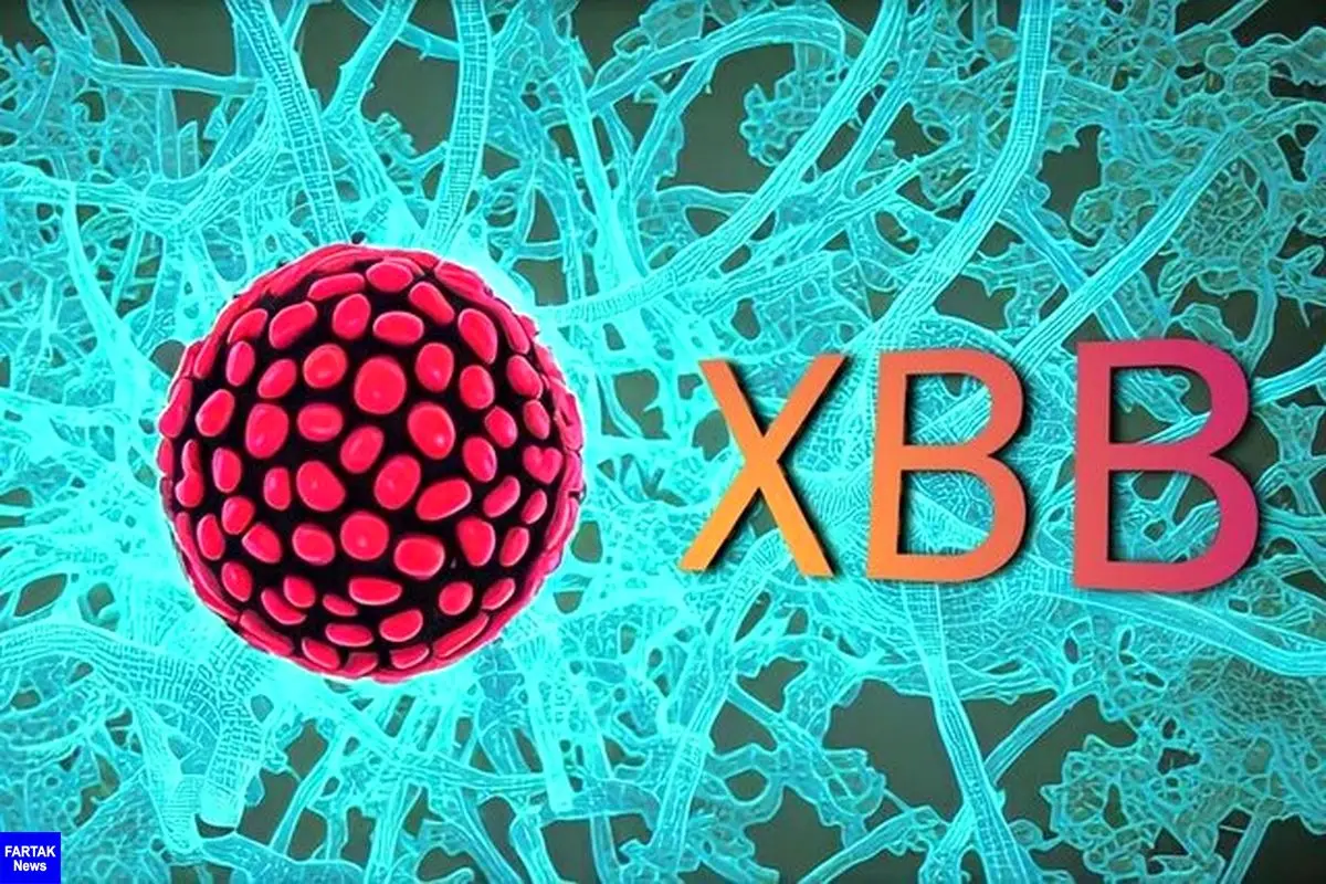
از XBB و BQ.1 چه می‌دانید؟