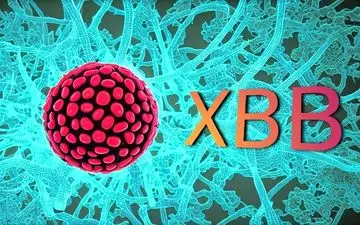 
از XBB و BQ.1 چه می‌دانید؟