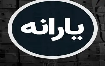 برنامه پرداخت یارانه برای ۱۴۰۵ مشخص شد / خبر مهم به تمام ایرانیان